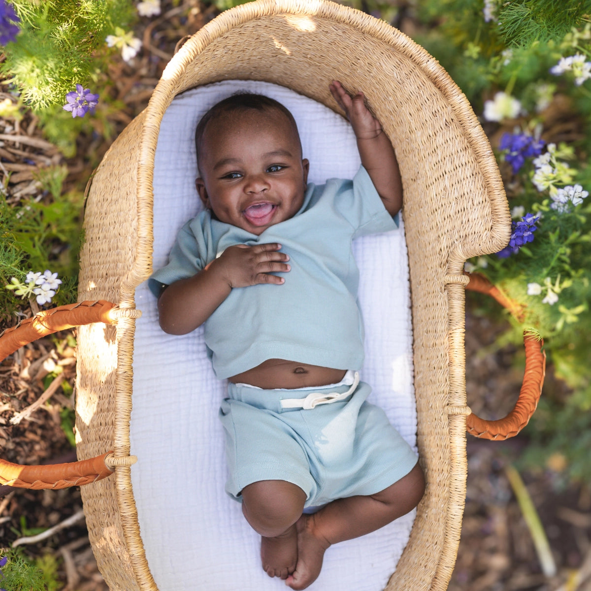 clearwater blue organic set