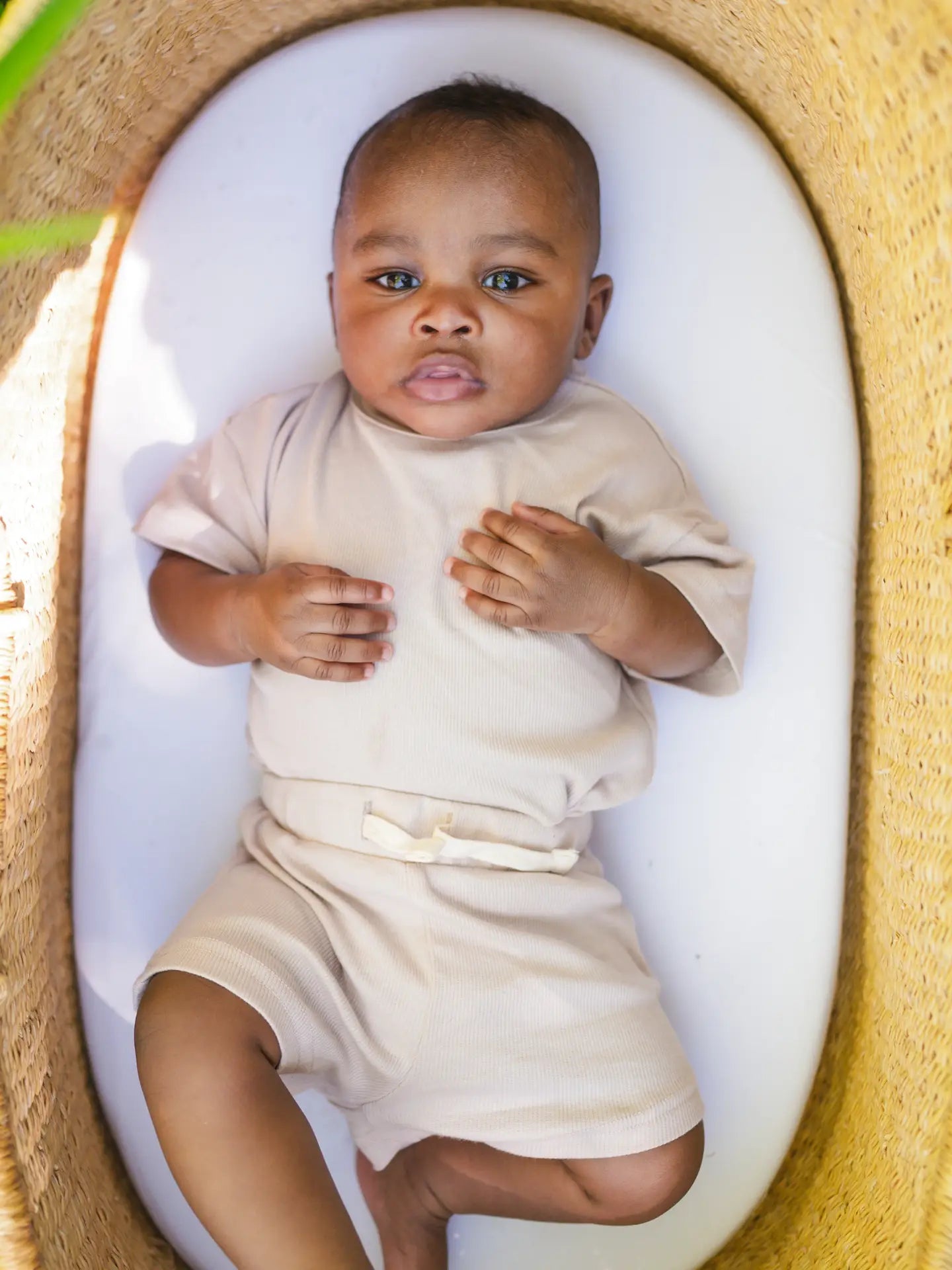 oatmeal organic set