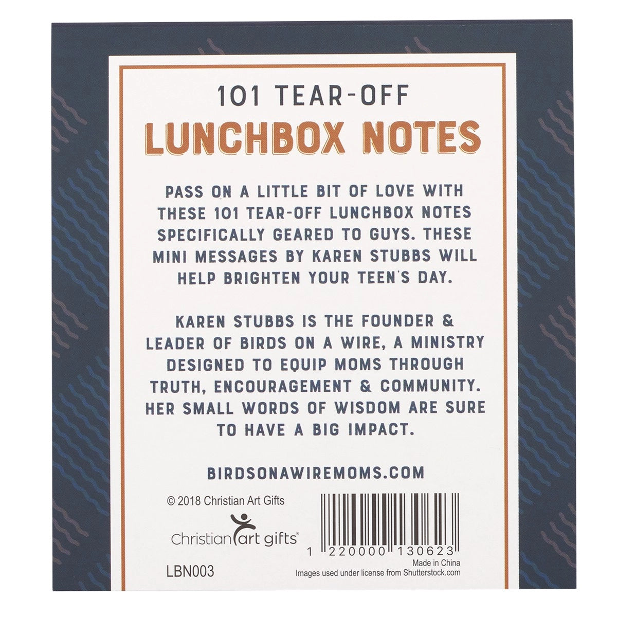 101 lunch box notes for boys