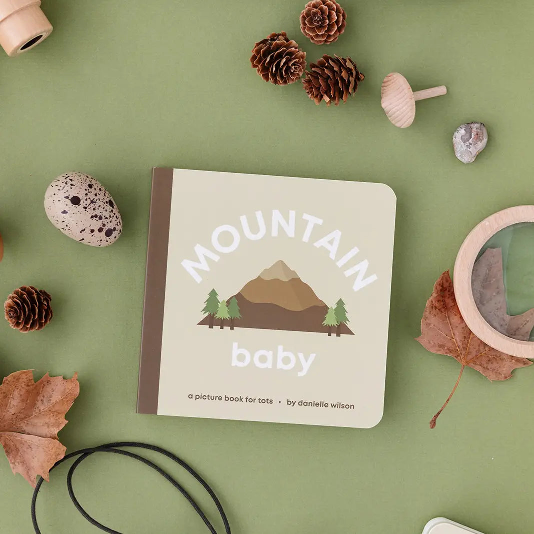 mountain baby board book